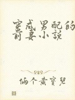 穿成男配的炮灰前妻小说