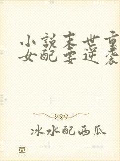 小说末世重生之女配要逆袭