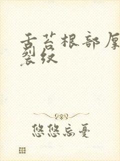 舌苔根部厚黄有裂纹