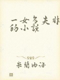 一女多夫非女尊的小说