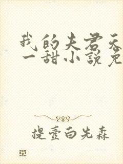 我的夫君天下第一甜小说免费阅读