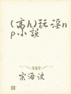 (高h)玩淫np小说