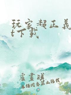 玩家超正义txt下载