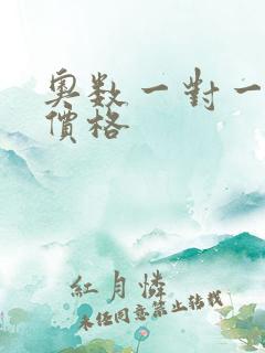 奥数一对一补习价格