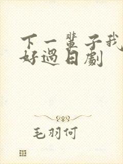 下一辈子我再好好过日剧