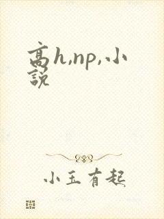 高h,np,小说