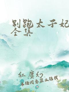 别跑太子妃短剧全集