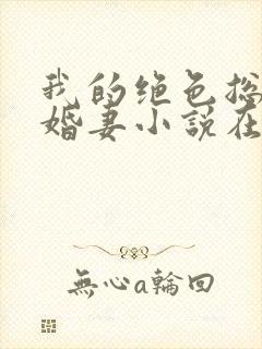 我的绝色总裁未婚妻小说在线