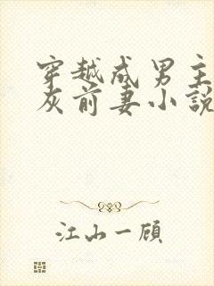 穿越成男主的炮灰前妻小说