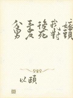 分手后我嫁给前男友死对头小说阅读