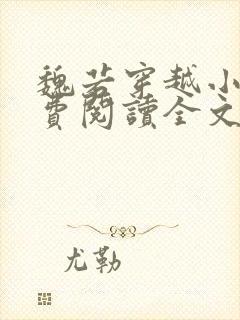 魏若穿越小说免费阅读全文无弹窗