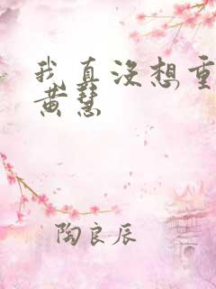 我真没想重生啊黄慧