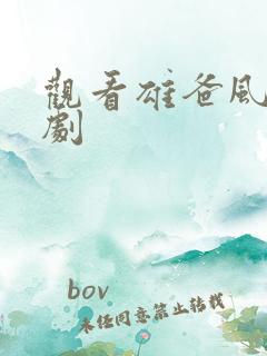 观看雄爸风云短剧