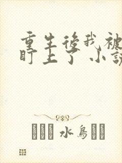 重生后我被大佬盯上了 小说