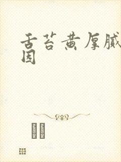 舌苔黄厚腻的原因