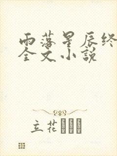 雨落星辰终成空全文小说