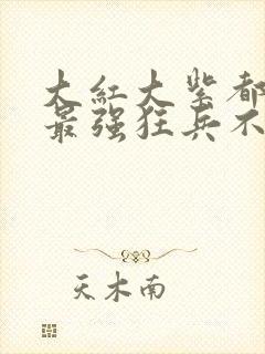 大红大紫都市之最强狂兵不更新了