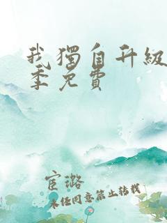 我独自升级第一季免费