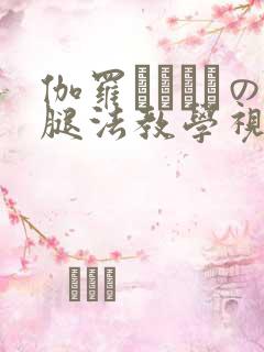 伽罗ちゃんへの腿法教学视频