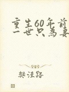 重生60年前这一世只为妻儿免费看全集