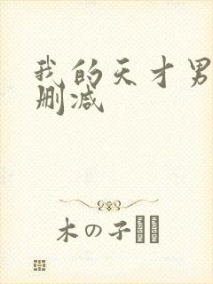 我的天才男友未删减