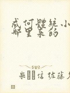 成何体统小太子哪里来的