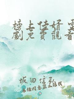 榜上佳婿 电视剧免费观看