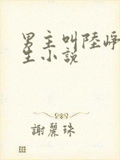 男主叫陆峥的重生小说