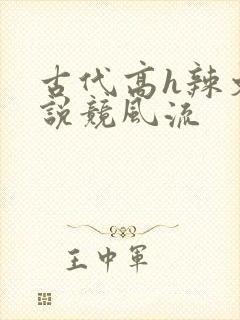 古代高h辣文小说竞风流