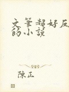 文笔超好反复看的小说