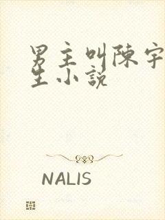 男主叫陈宇的重生小说