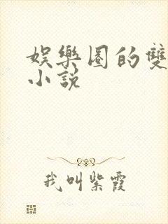 娱乐圈的双男主小说