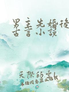 男主先婚后爱的古言小说