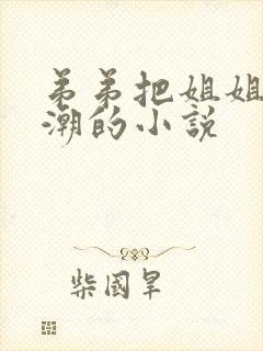 弟弟把姐姐干高潮的小说