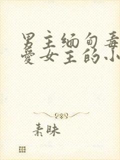 男主缅甸毒枭超爱女主的小说