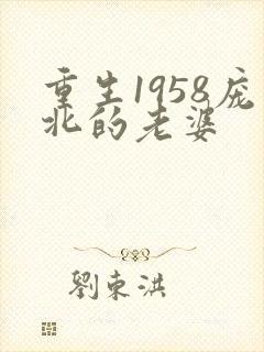 重生1958庞北的老婆