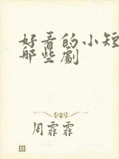 好看的小短剧有哪些剧