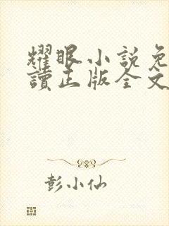 耀眼小说免费阅读正版全文