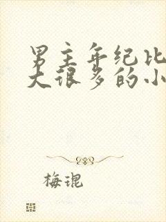 男主年纪比女主大很多的小说