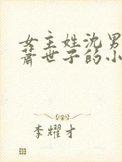 女主姓沈男主姓萧世子的小说