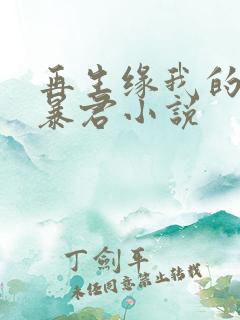 再生缘我的温柔暴君小说