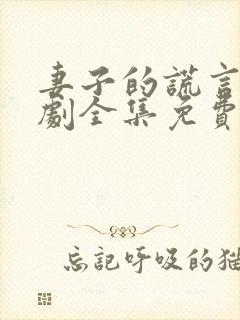 妻子的谎言电视剧全集免费完整