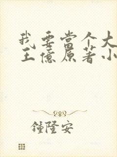 我要当个大坏蛋王亿原著小说免费