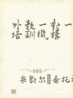 外教一对一口语培训机构