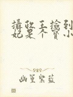 摄政王捡到的王妃是个宝小说免费阅读