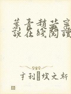 叶青赵若宁的小说在线阅读