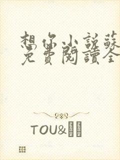 想你小说苏玛丽免费阅读全文无弹窗