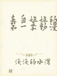 来自姐姐的关爱第一季动漫在线观看全集