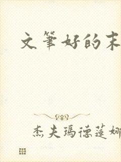 文笔好的末世文