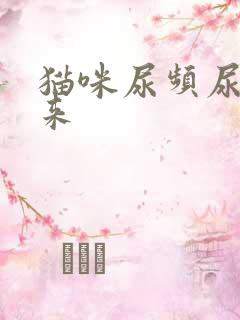 猫咪尿频尿不出来